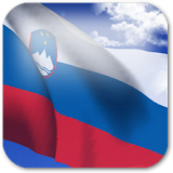 3D Slovenia Flag icon