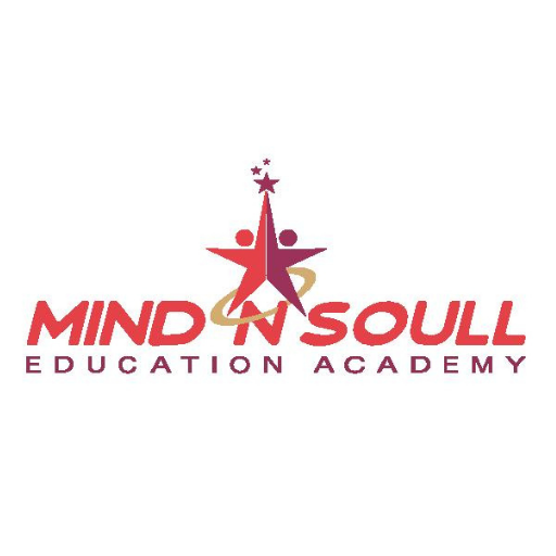 Mind and Soull Education Acade logo
