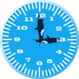 Killer Whale 3 Analog Clock icon