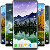 Tree Forest Live Wallpaper icon