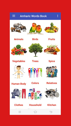 English Amharic Dictionary Screen 3