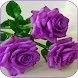 Beautiful flowers and roses pictures Gif - Androidアプリ