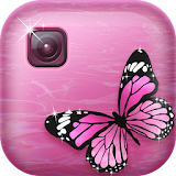 Beautiful Butterfly Pic Frames icon