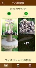 Fungus 菌類の識別 Google Play のアプリ