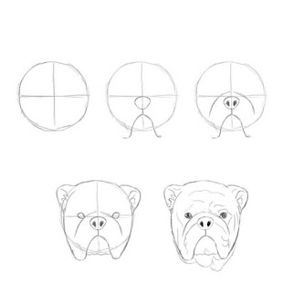 How to draw animals guide 0.1 APK + Mod (Unlimited money) إلى عن على ذكري المظهر