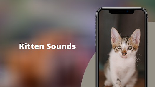 Cats sounds - Apps on Google Play