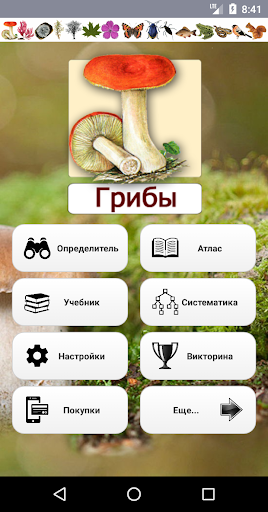 Android application EcoGuide: Russian Mushrooms screenshort