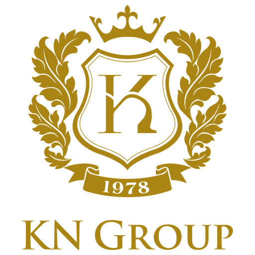 KNGroup 3.1 Icon