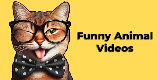 Videos Engraçados de Animais 