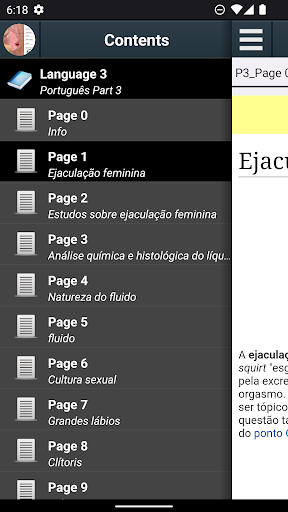 Visualização do aplicativo