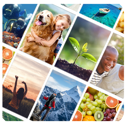 Picture Quiz: World logo