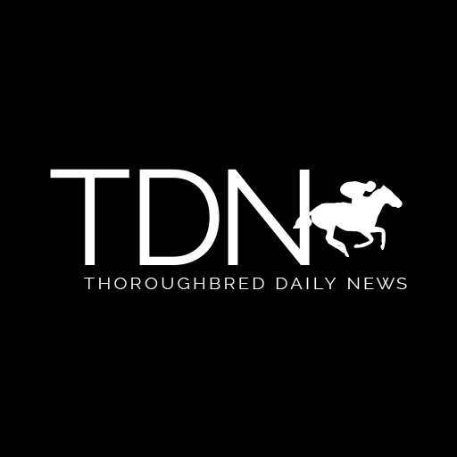 TDN: Thoroughbred Daily News logo