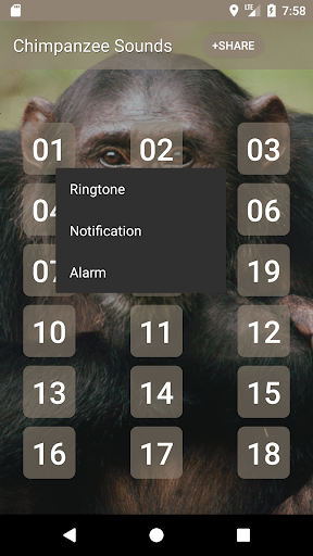 Chimpanzee Sounds Screen 2