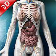 Top 42 Education Apps Like Human anatomy 3D : Organs and Bones - Best Alternatives
