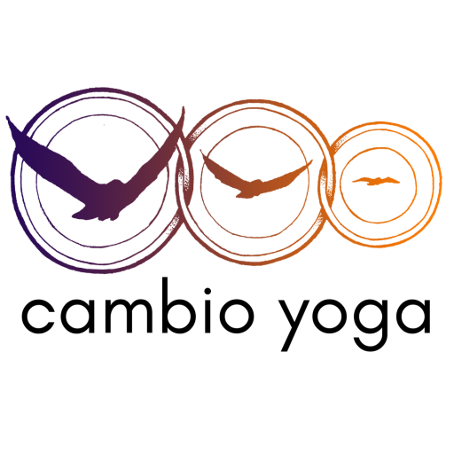 Cambio Yoga 2.0.1 Icon
