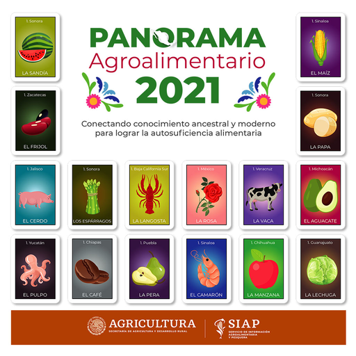 Panorama Agroalimentario 2021 Laai af op Windows