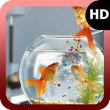 Goldfish Wallpaper icon