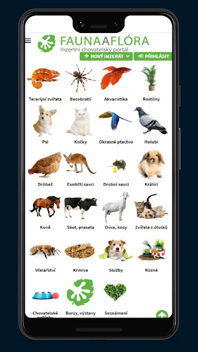 FAUNA A FLÓRA - FAUNA A FLORA Screen 3