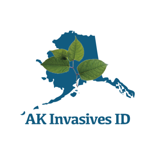 Alaska Invasives ID  Icon
