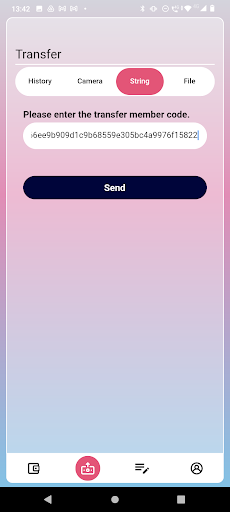 SYN Wallet Screen 2