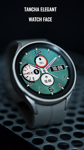 Tancha Elegant Watch Face Screen 2