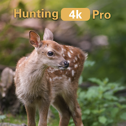 Hunting 4K Pro for  Android – Latest Version & Features app icon
