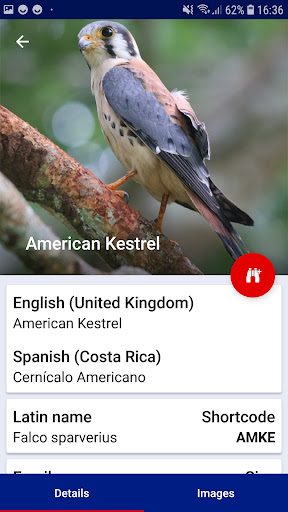 Birds of Costa Rica Screen 3
