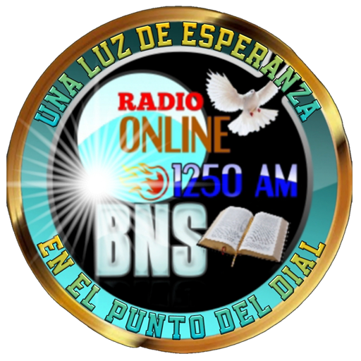 BNS RADIO logo