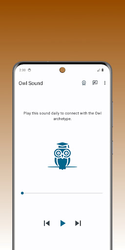 Owl Archetype Screen 3