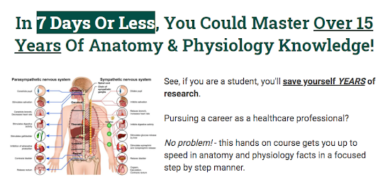 Human Anatomy Physiology Cours