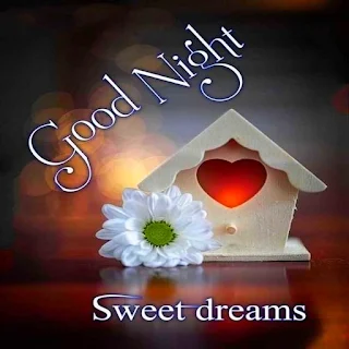Good Night good evening images apk