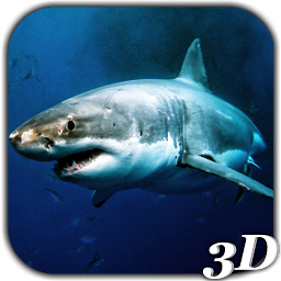 Icon image Shark Attack Live Wallpaper