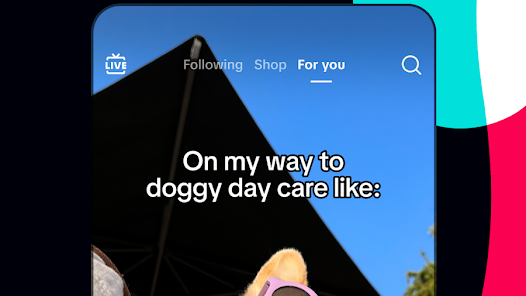 TikTok poster