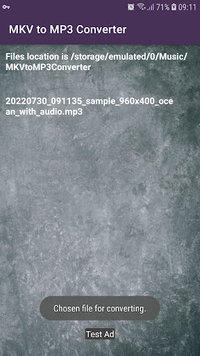 MKV to MP3 Converter Screen 3