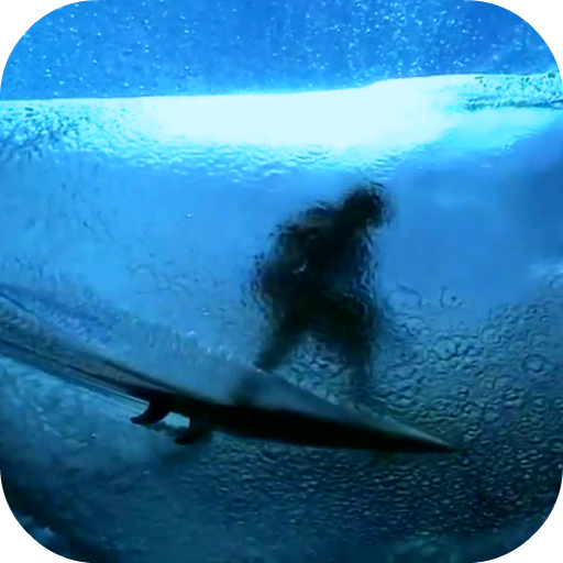 Surfing HD Video Wallpaper  Icon