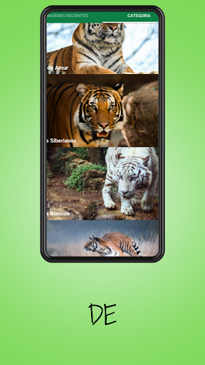 Imagenes De Tigres Screen 2