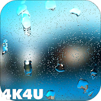 4K Rain Drops on Screen Live Wallpaper