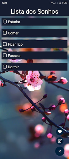 Lista dos Sonhos Screen 3