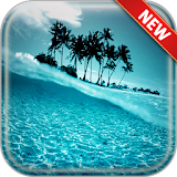 Tropical Wallpapers icon