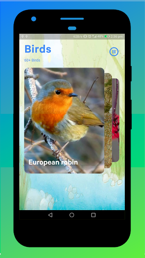 Bird Sounds Screen 2