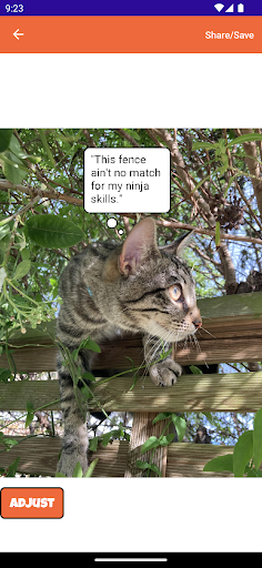 Pet Memes Screen 2