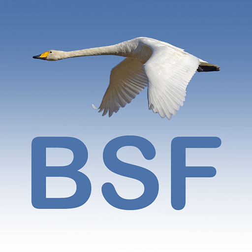 BirdSoundFinland logo