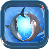 Dolphin Dash icon