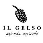 Cover Image of Download Il Gelso  APK