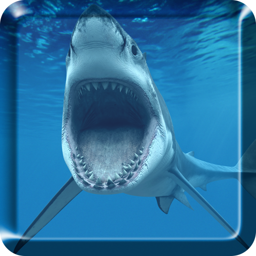 Shark Live Wallpaper