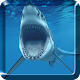 Shark Live Wallpaper Download on Windows