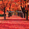 Autumn Trees Theme icon