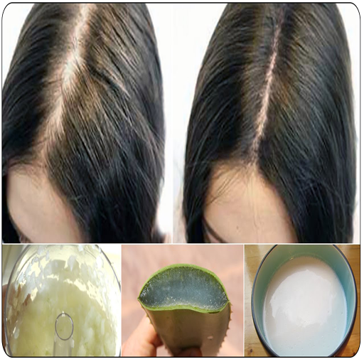 Guide home remedies for hair logo
