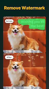 Screenshot image