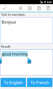 French English Translator For PC installation